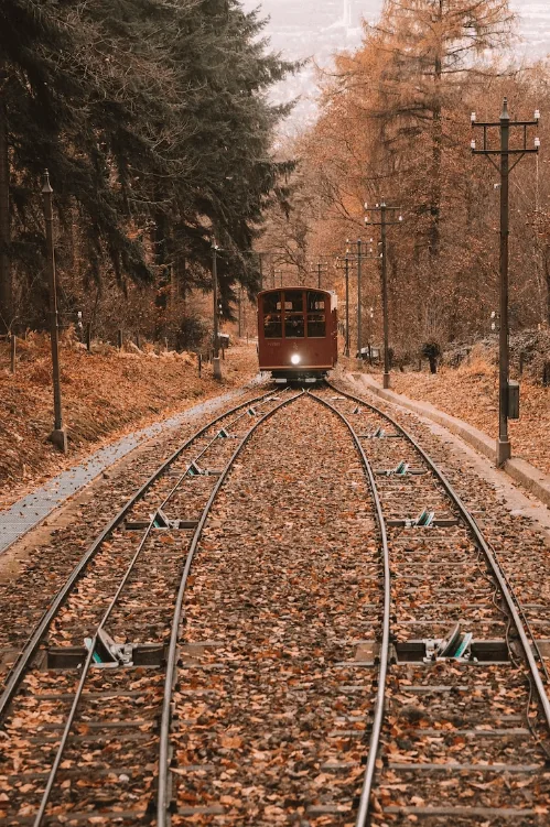 AMV Simples Ferroviário — imagem do acervo AMV Brasil